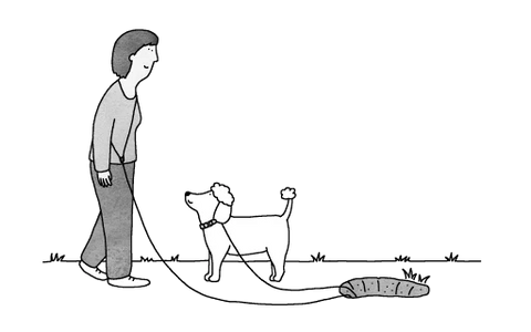 Left Illustration