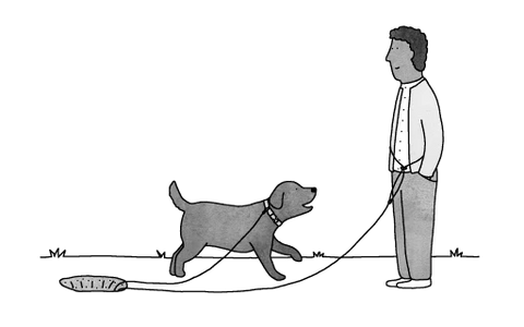 Right Illustration