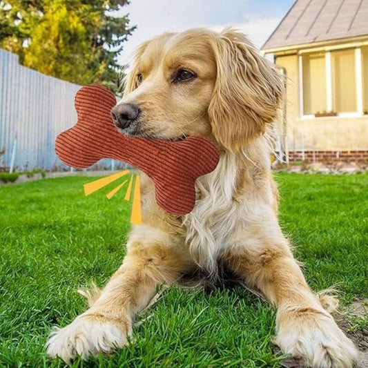 Bone Squeaky Plush Dog Toy 