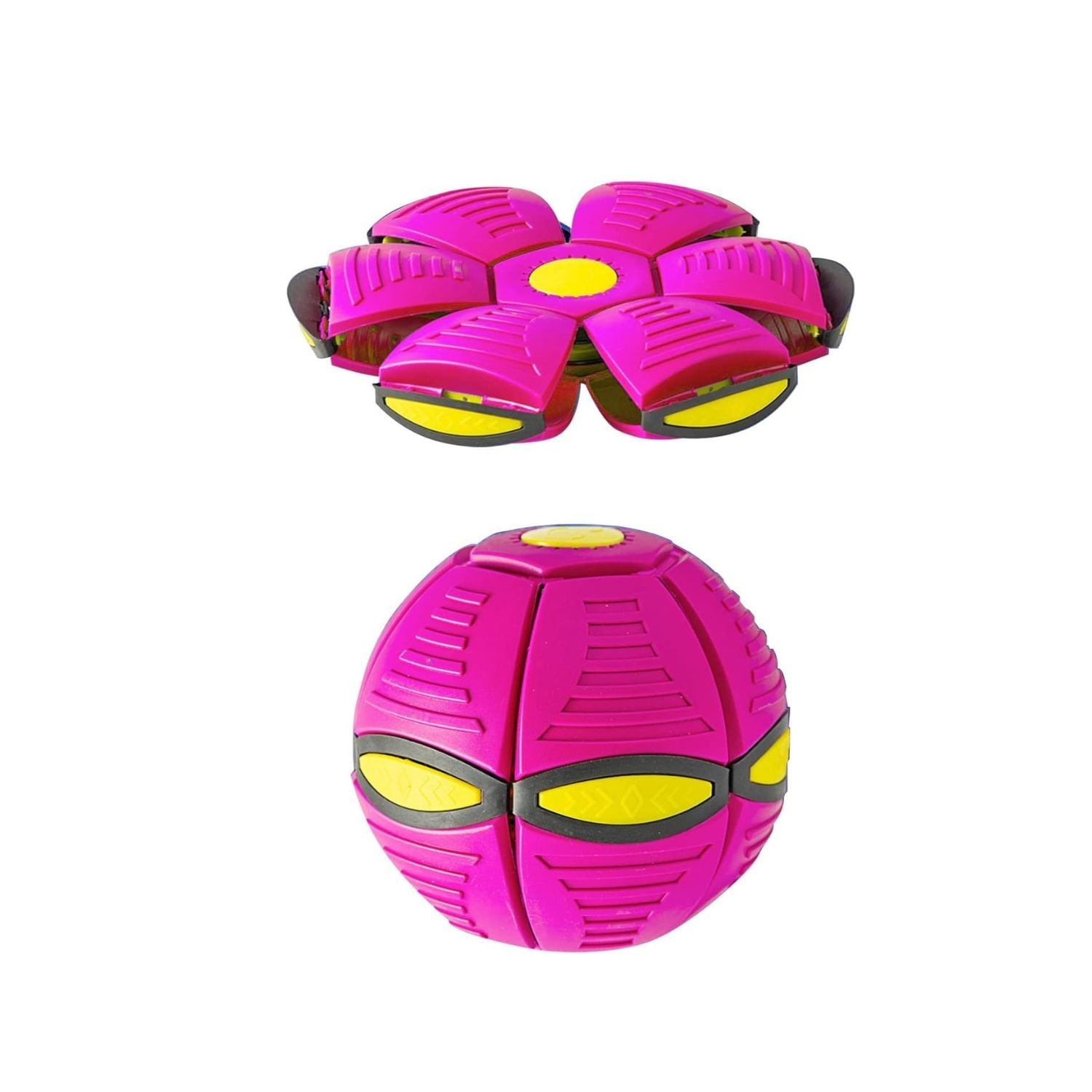 dog fetch toy