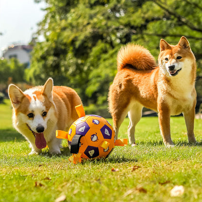 Chew-resistant dog toy