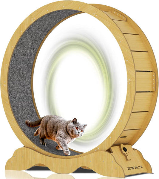 45-inch cat exercise wheel for indoor cats