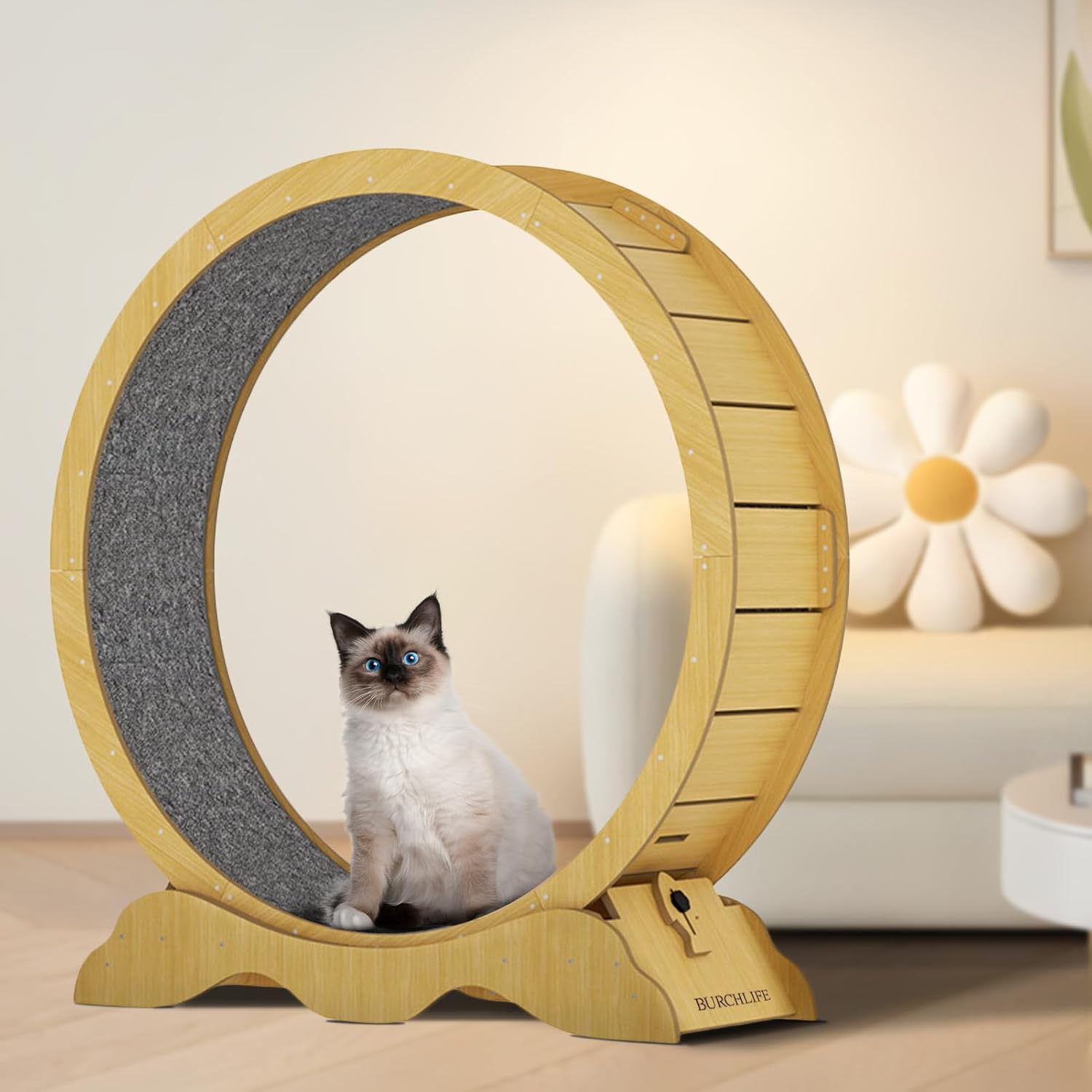 

Silent wooden cat treadmill with detachable carpet track