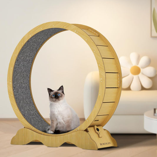 

Silent wooden cat treadmill with detachable carpet track