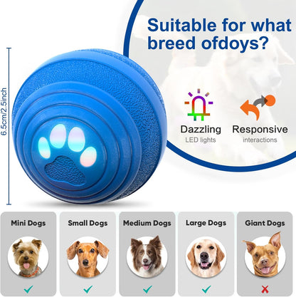 

Electric bouncing toy ball with colorful lights for pets