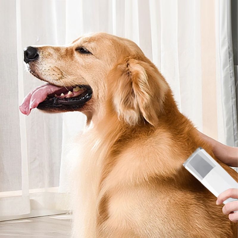 Dog hair vacuum