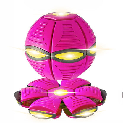outdoor dog toy