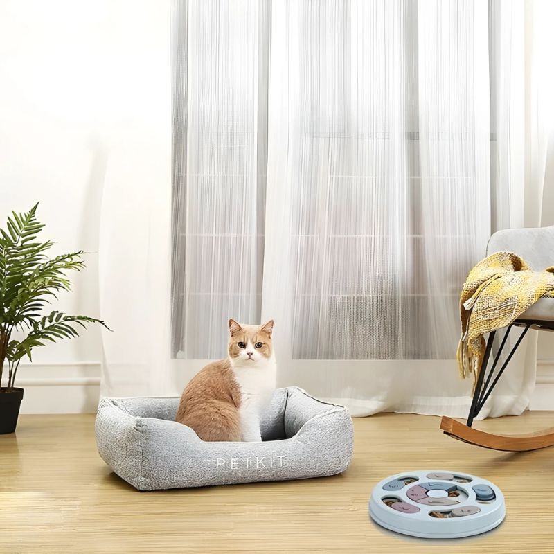 IQ toy for cats