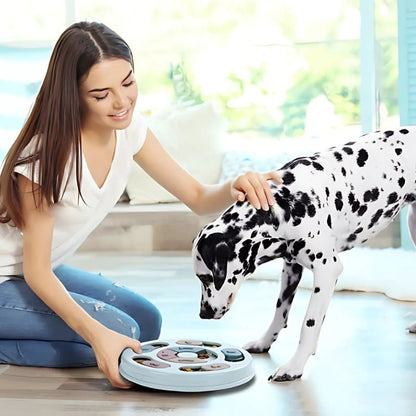 Puzzle feeder for dogs