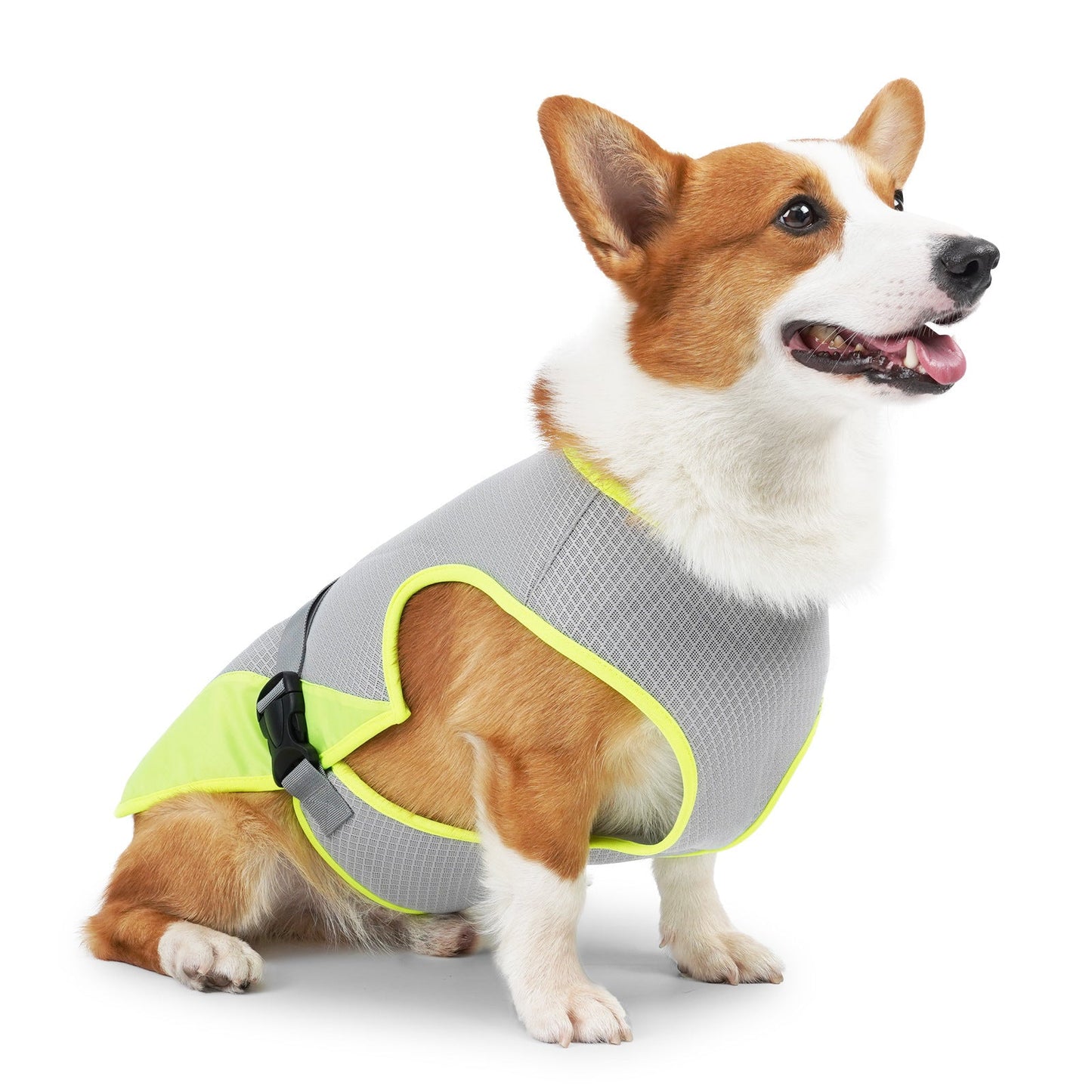 dog clothes for hot weather

