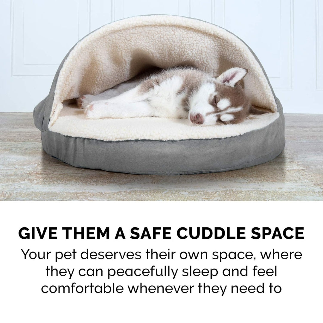 

Pet-friendly orthopedic foam bed for improved sleep