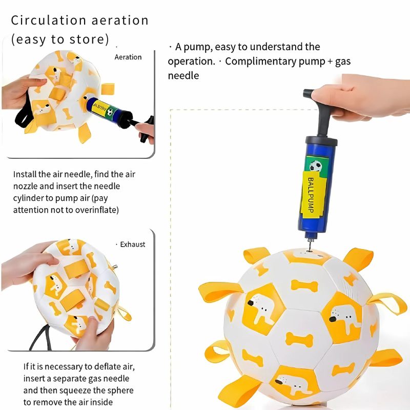 Water play pet toy