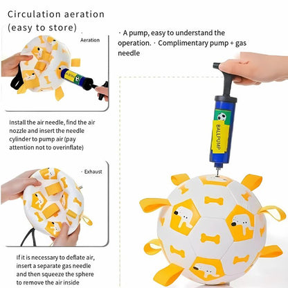 Water play pet toy