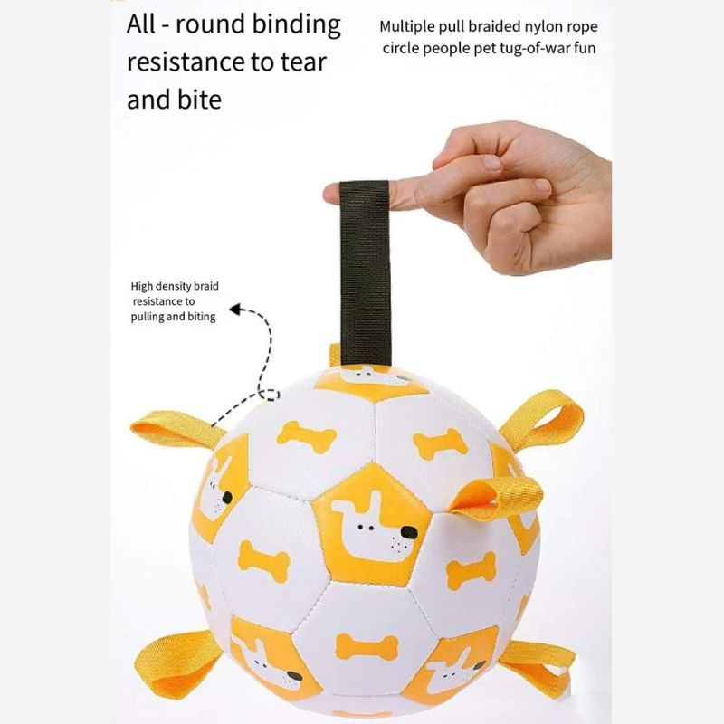Water play pet toy