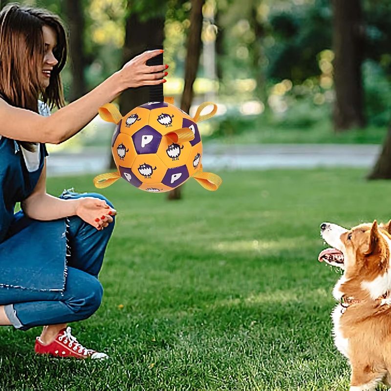 Water play pet toy