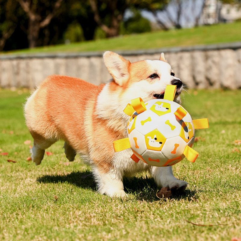 Dog exercise toy
