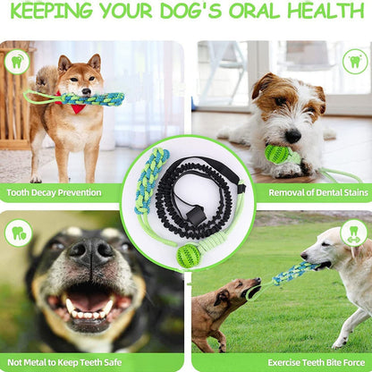 tug toy for dogs

