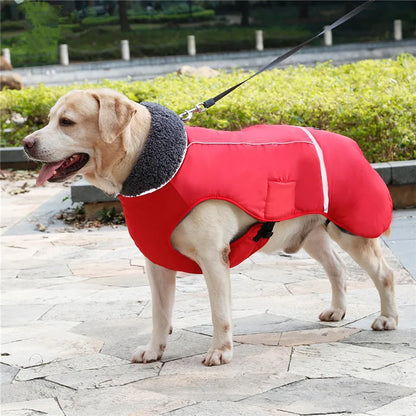 

Warm padded pet outerwear for snowy weather