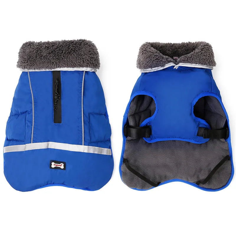 

Durable waterproof pet clothing with secure buckle