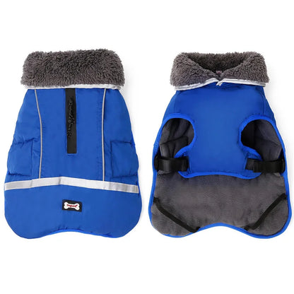 

Durable waterproof pet clothing with secure buckle