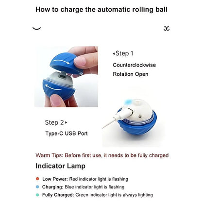 Smart dog toy