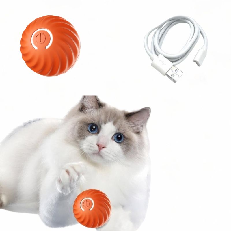 Smart dog toy