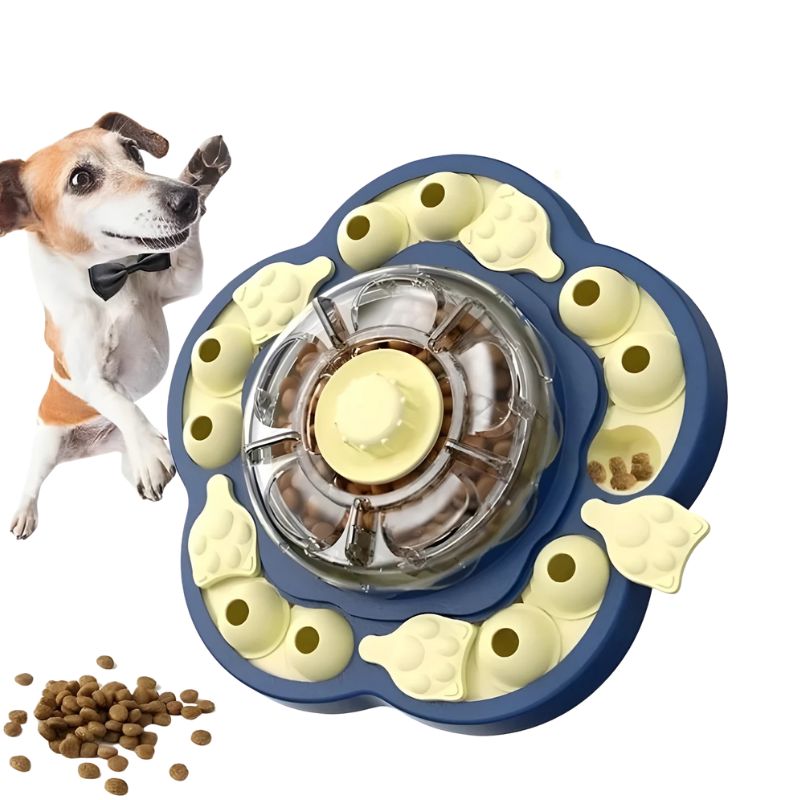 Smart dog feeder

