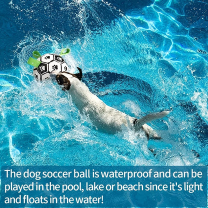 

Safe BPA-free dog toy with built-in handle ring