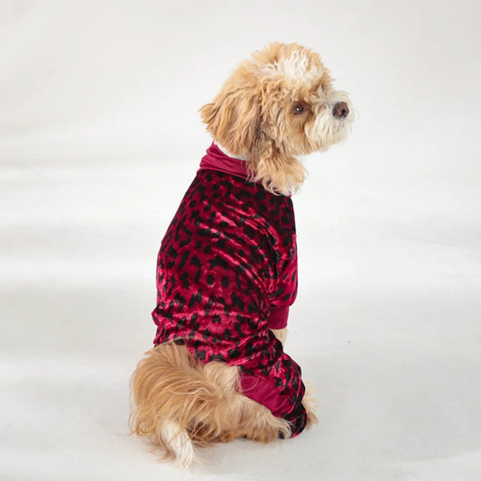 

Soft velvet pet onesie with four-leg design