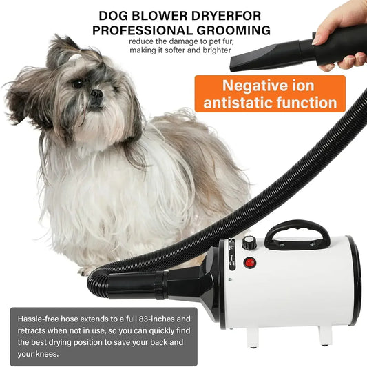 

Fast drying dog and cat blower for grooming