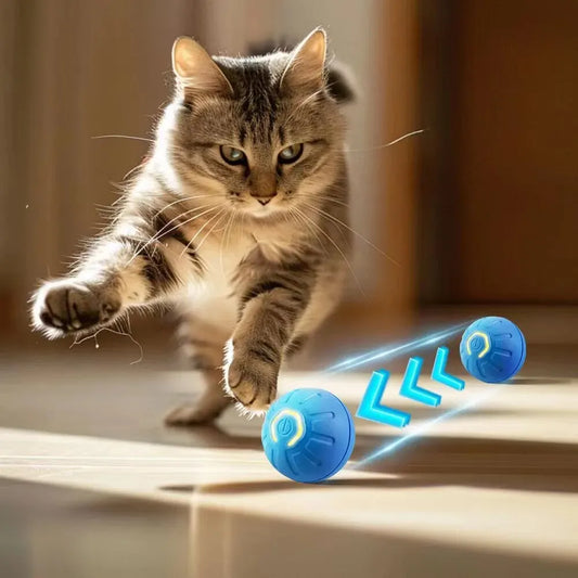 Pet toy ball