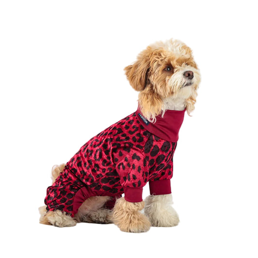 Leopard print dog pajamas for small and medium dogs