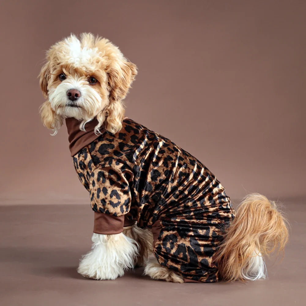 Dog wearing a leopard print outfit 