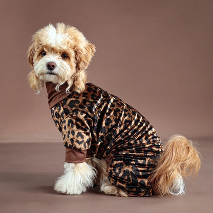 Dog wearing a leopard print outfit 