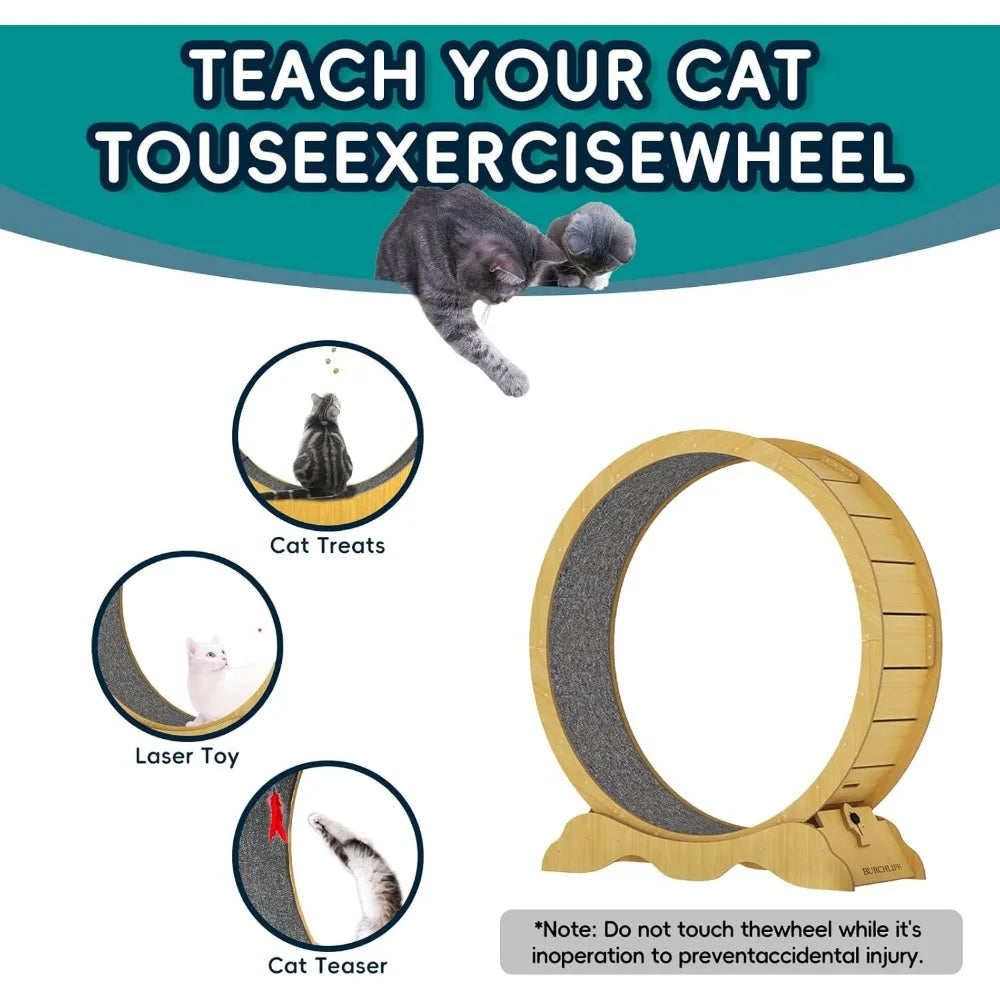 

Indoor cat exercise wheel with soft claw carpet