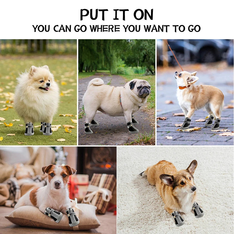 Durable pet footwear