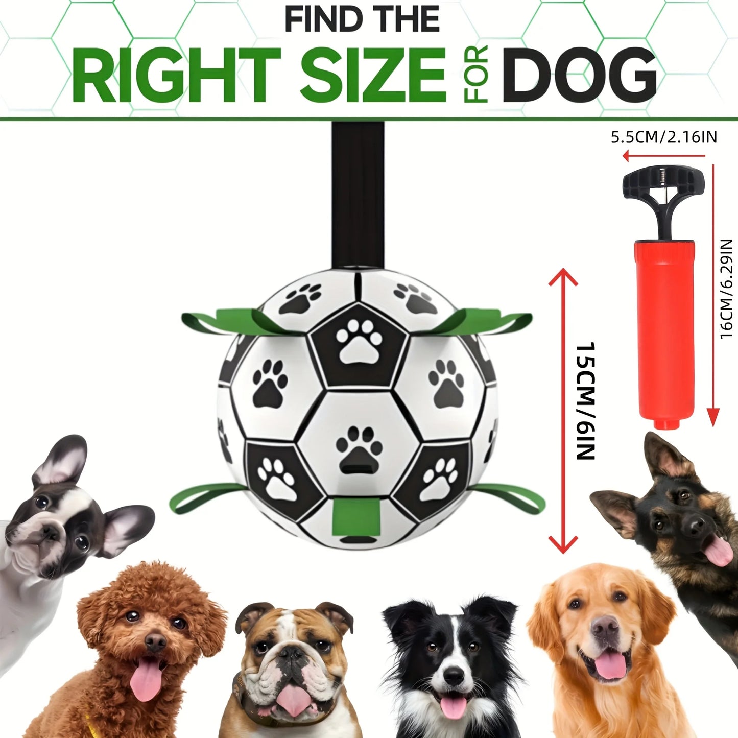 

Dog playing with interactive soccer toy with paw prints