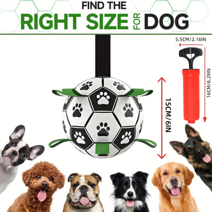 

Dog playing with interactive soccer toy with paw prints