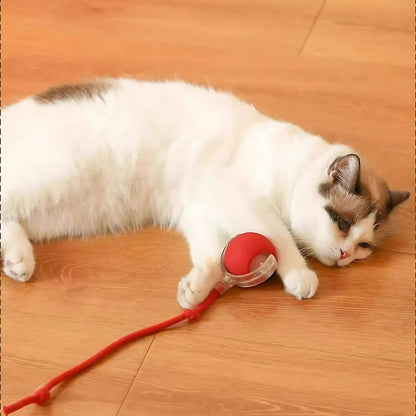 Motion Sensing Smart Pet Toy Ball

