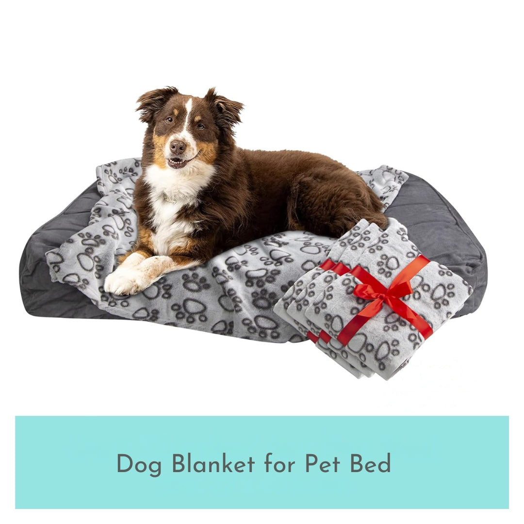 

Adorable cartoon dog blanket on sofa