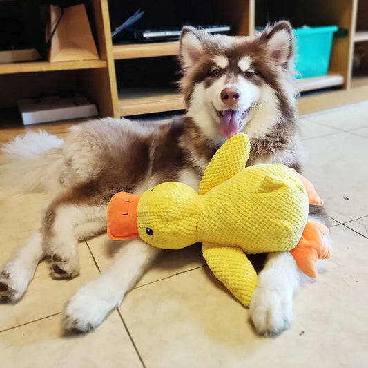 chew toy for dogs