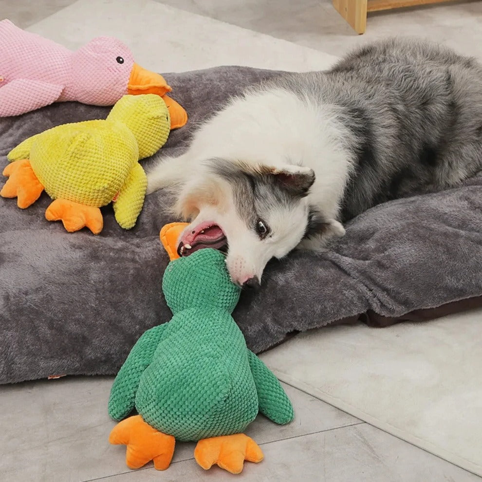 durable pet toy