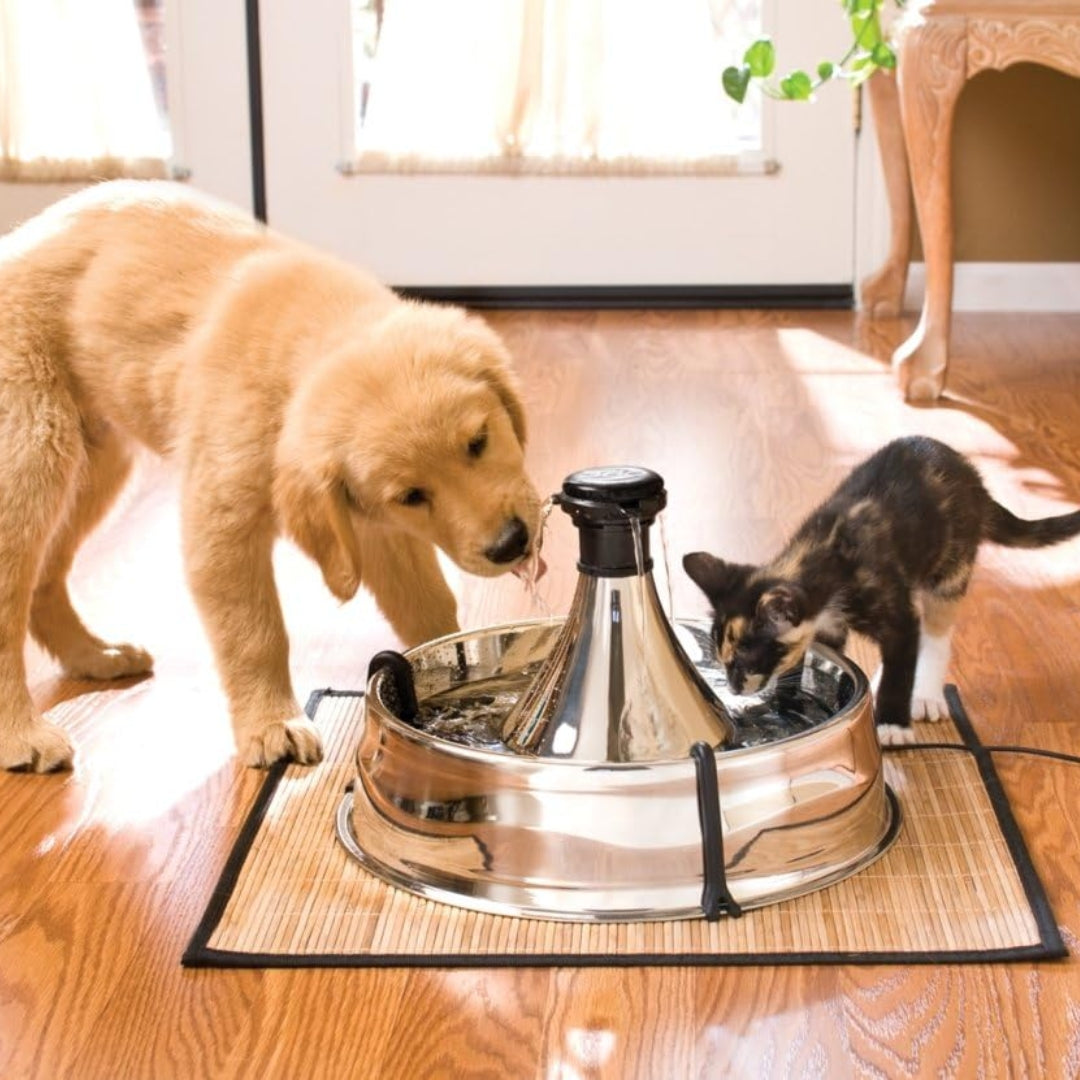 Stainless 360 Pet Fountain – 1 Gallon Water Dispenser for Dogs & Cats with Customizable Flow and Hair Filter