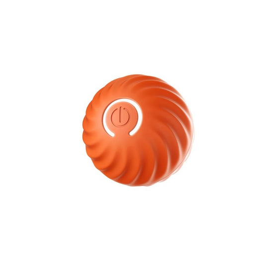 Smart dog toy
