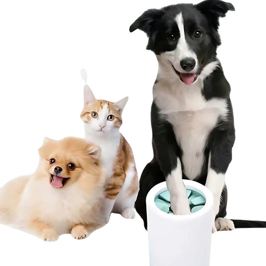 Paw Cleaner

