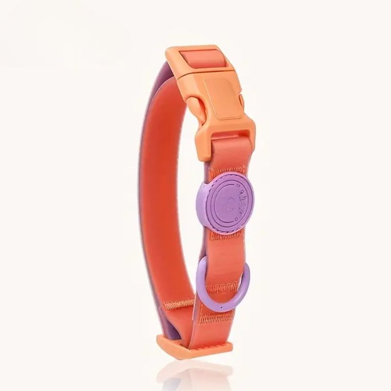 Waterproof Nylon Dog Collar with Leash - for Small, Medium & Large Dogs