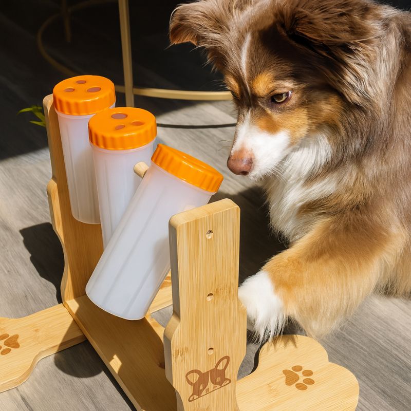 Puzzle Toy