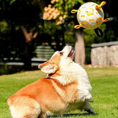 Floating pet toy