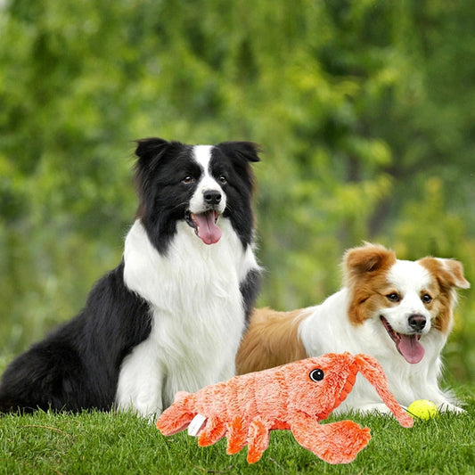 Dog chew toy plush