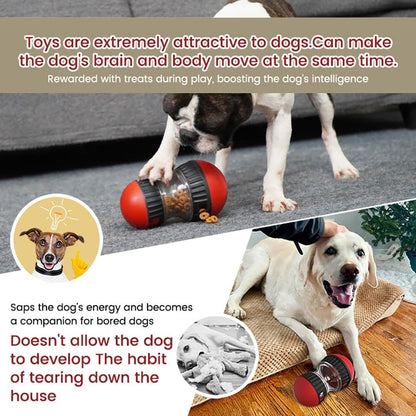 Dog enrichment toy